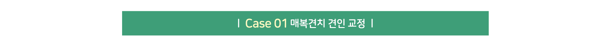 CASE 01 매복견치 견인 교정